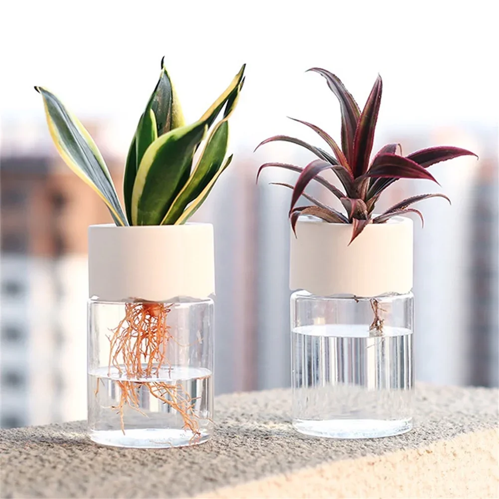 Mini Hydroponic Flower Pot Tra - огляд і ціна Aloe Vera Pot