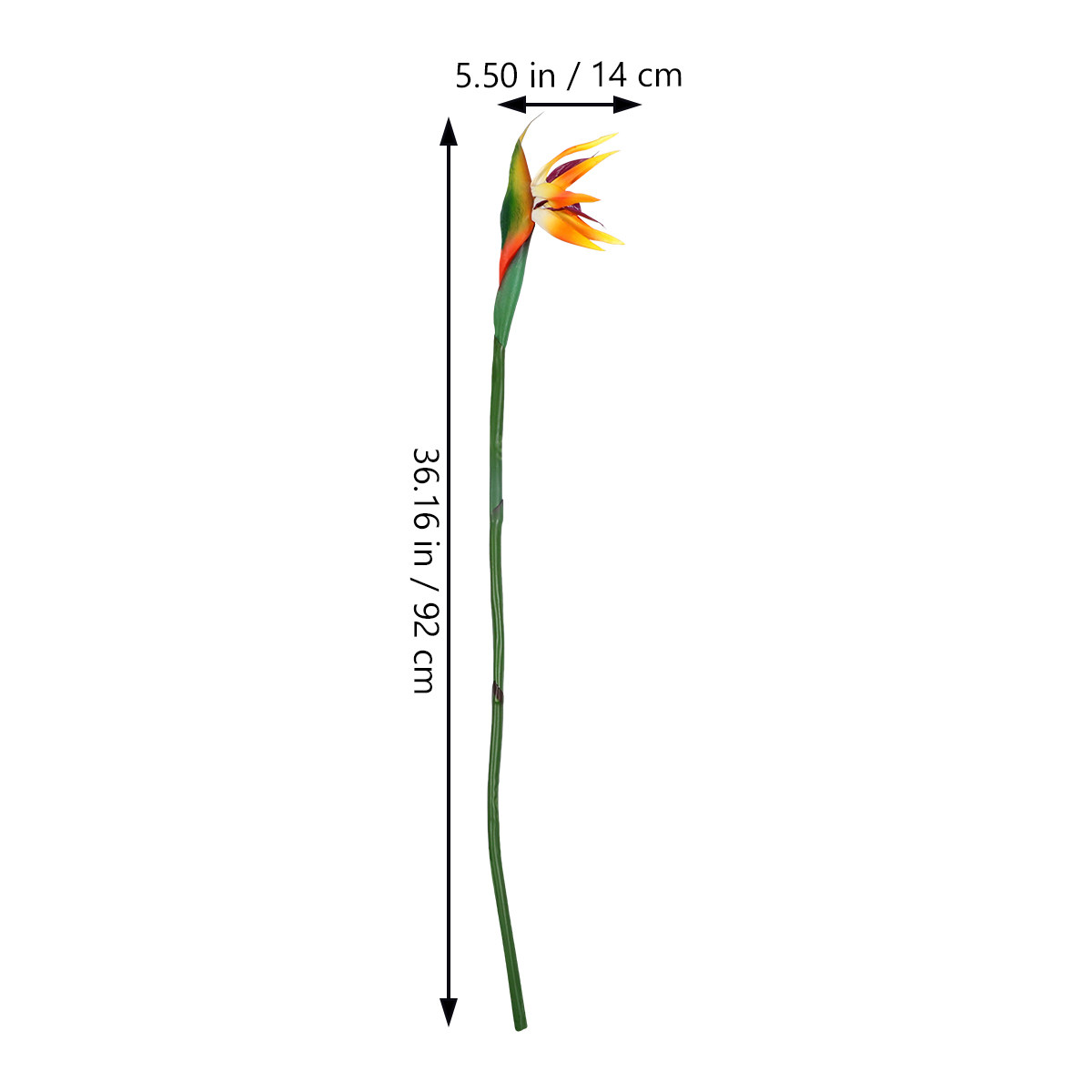 Faux Bird of Paradise Artifici - огляд і ціна Bird Paradise Strelitzia