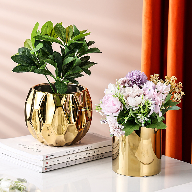 Nordic Style Geometric Shape C - огляд і ціна Aloe Vera Pot