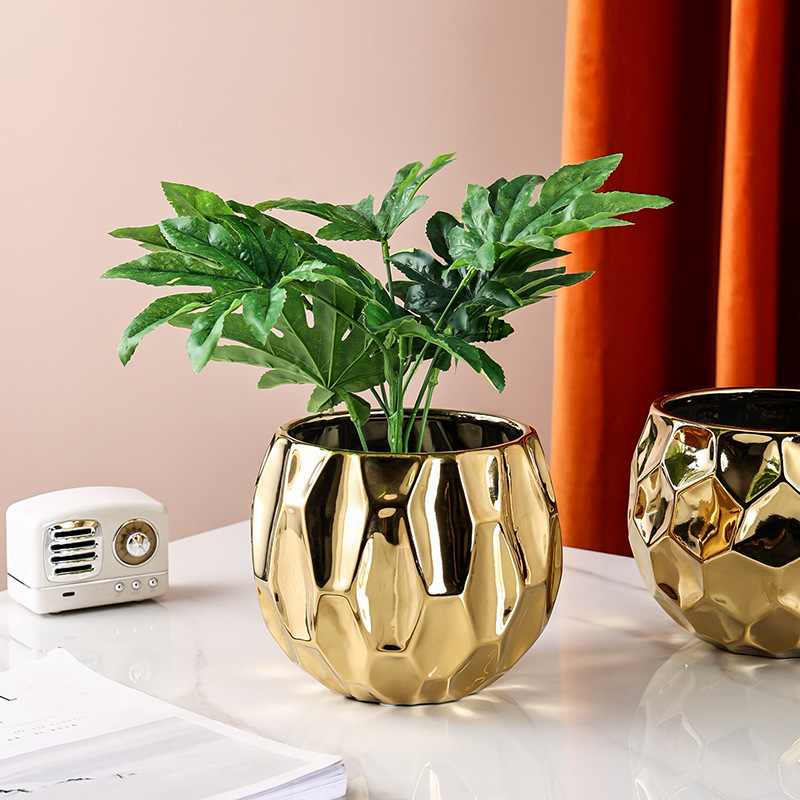 Nordic Style Geometric Shape C - огляд і ціна Aloe Vera Pot