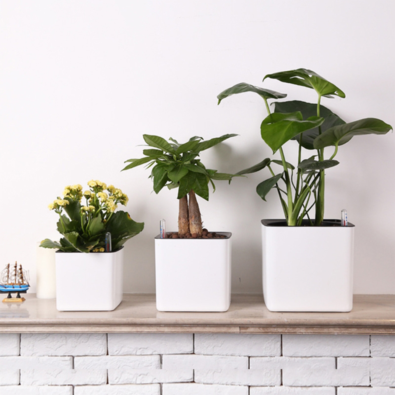 Self Watering Planter Self-wat - огляд і ціна Aloe Vera Pot
