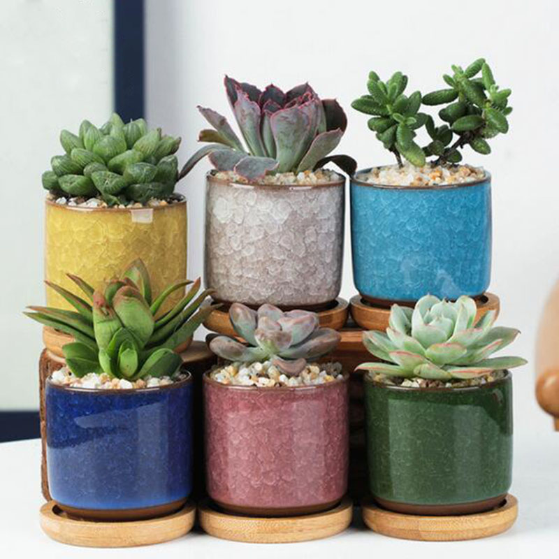 6pcs/set Ceramic Flowerpot Set - огляд і ціна Aloe Vera Pot