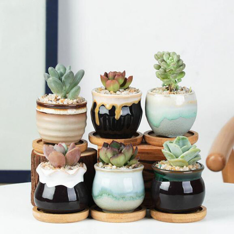 6pcs/set Ceramic Flowerpot Set - огляд і ціна Aloe Vera Pot