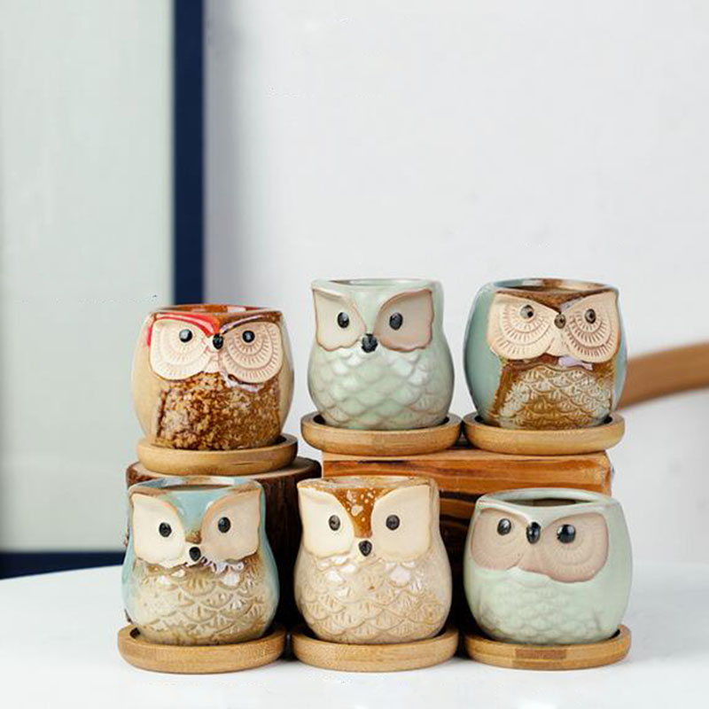 6pcs/set Ceramic Flowerpot Set - огляд і ціна Aloe Vera Pot
