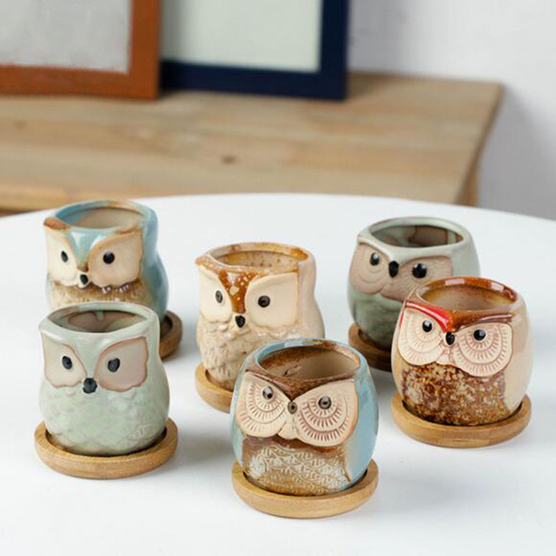 6pcs/set Ceramic Flowerpot Set - огляд і ціна Aloe Vera Pot