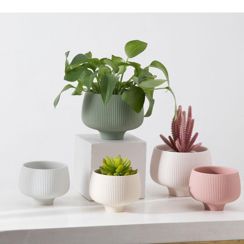 Multicolor Stripes Ceramic Vas - огляд і ціна Aloe Vera Pot