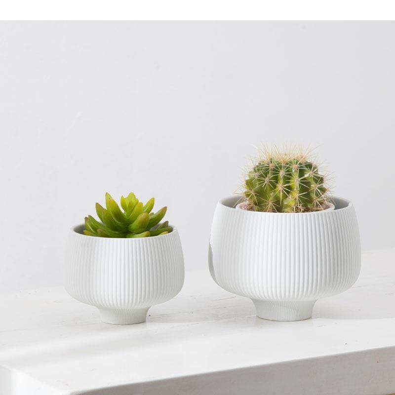 Multicolor Stripes Ceramic Vas - огляд і ціна Aloe Vera Pot