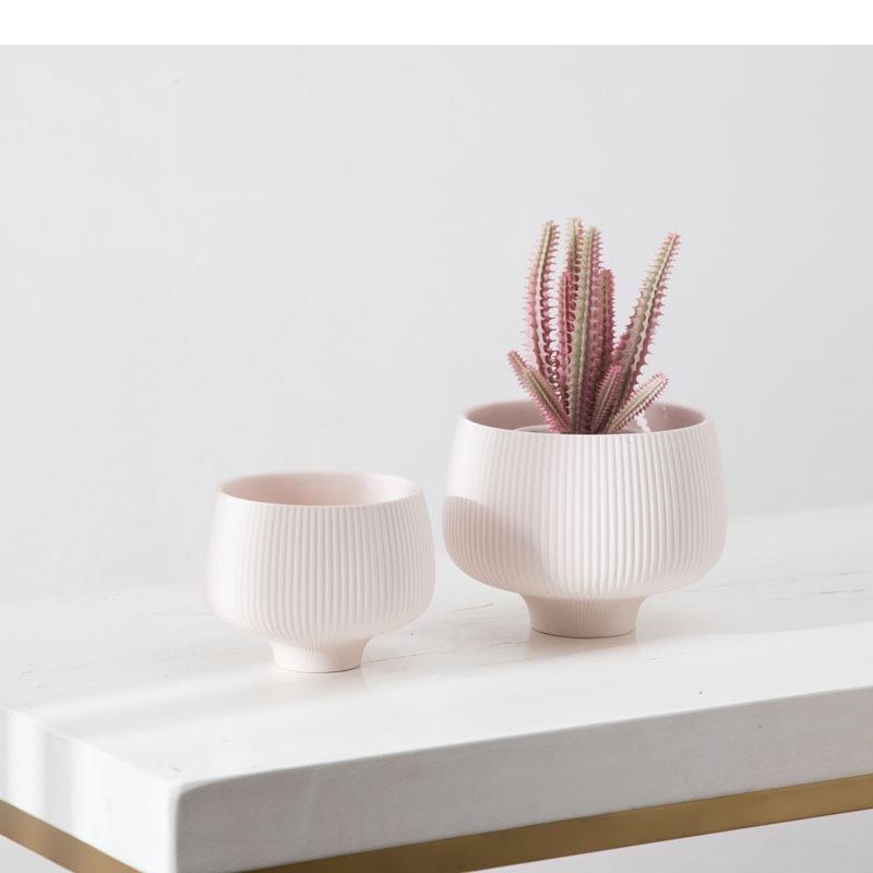 Multicolor Stripes Ceramic Vas - огляд і ціна Aloe Vera Pot