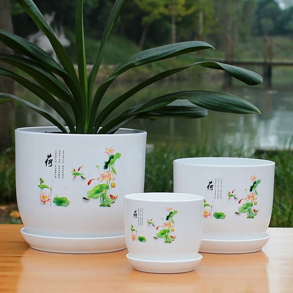 Extra Large Plastic Flower Pot - огляд і ціна Aloe Vera Pot